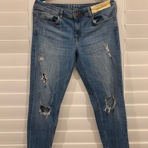 Zara Ripped Denim